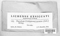 Image Associated With the Occurence